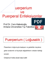 10-Puerperium Ve Puerperal Enfeksiyonlar Prof - Dr.Cem S. ATABEKOĞLU