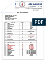 Crane - Inspection Report - 2023 PDF