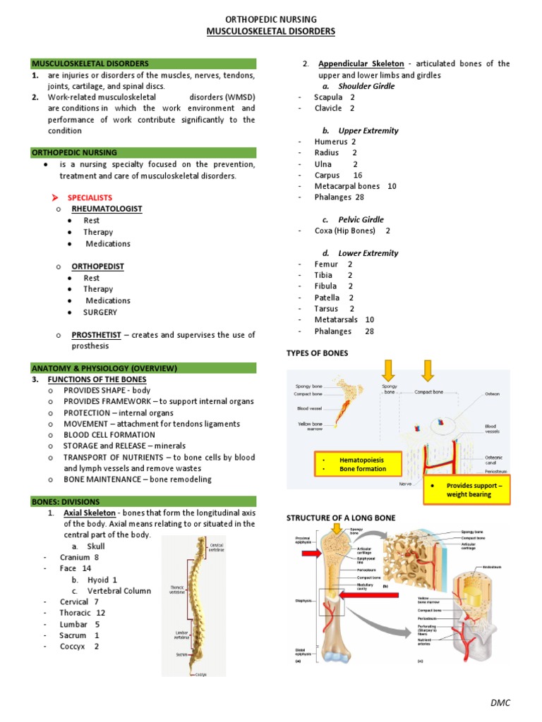 1.2 Musculoskeletal Disorders PDF | PDF