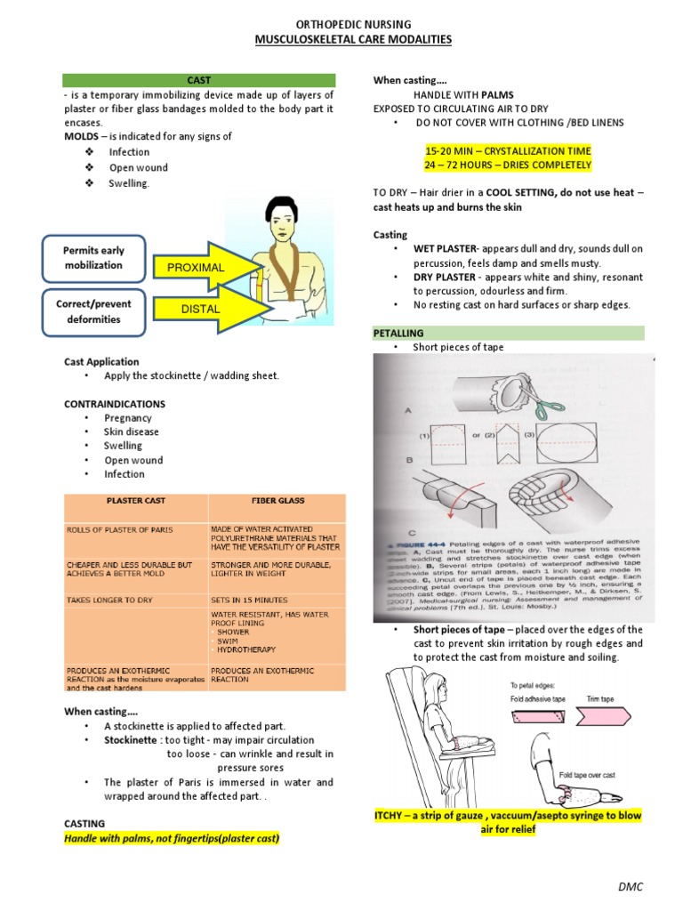 1.1 Musculoskeletal Care Modalities PDF | PDF | Anatomical Terms Of ...