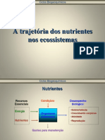 Fluxo PDF
