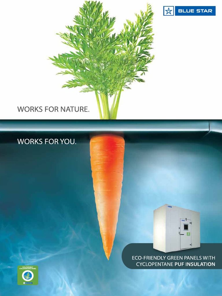 Contact Information and Product Catalogue for Blue Star International