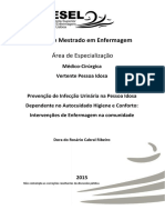 Relatório Mestrado Dora Ribeiro PDF