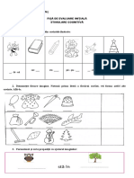 Fisa Ev Initiala ST Cog 2021 PDF