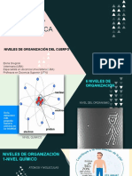 2-Anatomia - Niveles de Organización