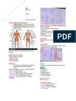 Muscle PDF