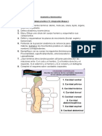 Anatomía y Biomecánica TP N°1 Integracion de Bloque