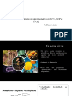 Divisões anatômicas do SNC, SNP e SNA