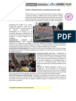 Organismos de Protección y Promoción de Los Derechos en El Perú