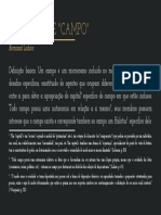 Bourdieu - Conceito de Campo PDF