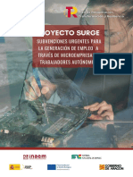 Folleto Informativo SURGE PDF