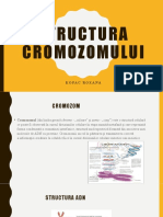 Structura Cromozomului