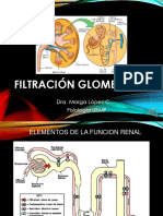 S12.1 Filtración Glomerular 2020 PDF