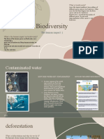Biodiversity PP