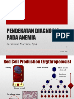 ANEMIA_dr. Yvonne (2)