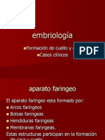 Formación de la cara y el cuello: Embriología del aparato faríngeo