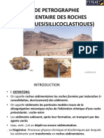 Roches Detritiquessillicoclastiques PDF