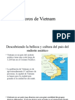 Infografia de Vietnam