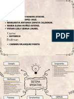 Soft Brown Minimal HR Functional Organizational Graph PDF