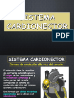 Corazon Sistema de Conduccion