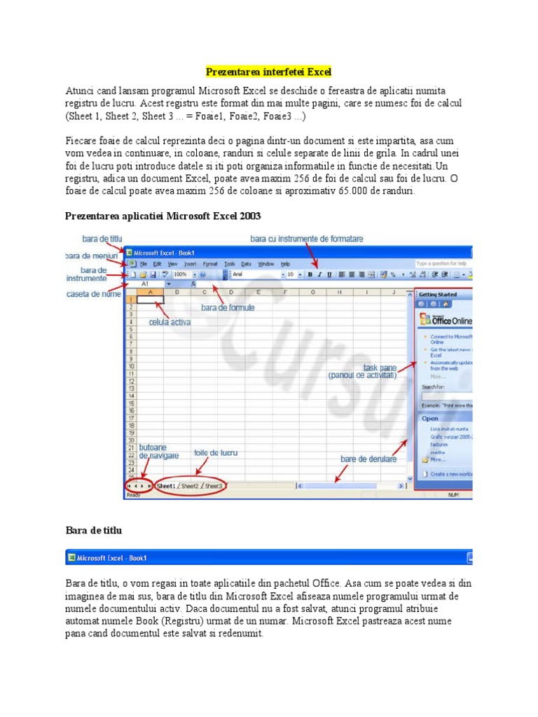Prezentarea Interfetei | PDF