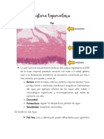 Sistema Tegumentario PDF