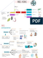 Esquema Mapa Conceptual Doodle Multicolor