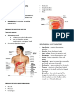 Digestive System