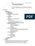 Estructura Investigacion ADM