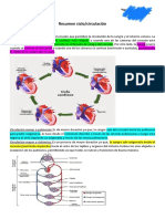 Resumen Anatomía Ciclo, Circulación PDF