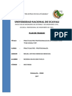 pdf-plan-de-trabajo-de-practicas-pre-profesionales-paul_compress.pdf