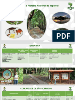 Conheça a Floresta Nacional do Tapajós