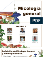 Seminario de Micologia General. Equipo (A)