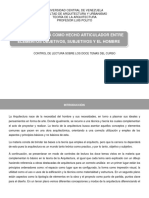 DESPEGABLE, Trabajo Final Teoria ENDOBLECARTA PDF