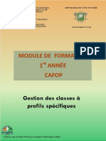 Module Gestion Des Classes À Profil Spécifique