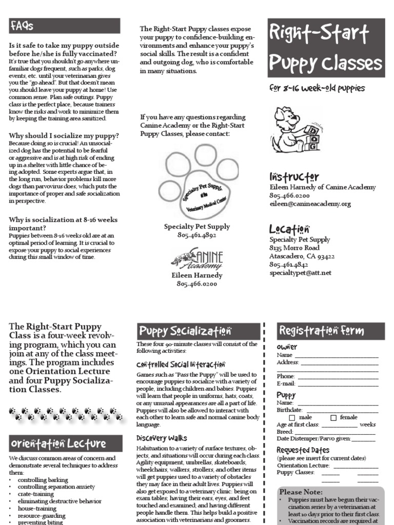 RightStart Puppy Classes brochure Veterinary Physician Dogs