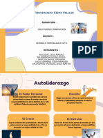 Grupo 08 - Organizador Grafico PDF