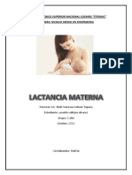 Lactancia Materna PDF