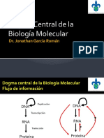 Dogma Central de la Biología Molecular