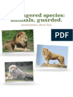 About Lions PDF