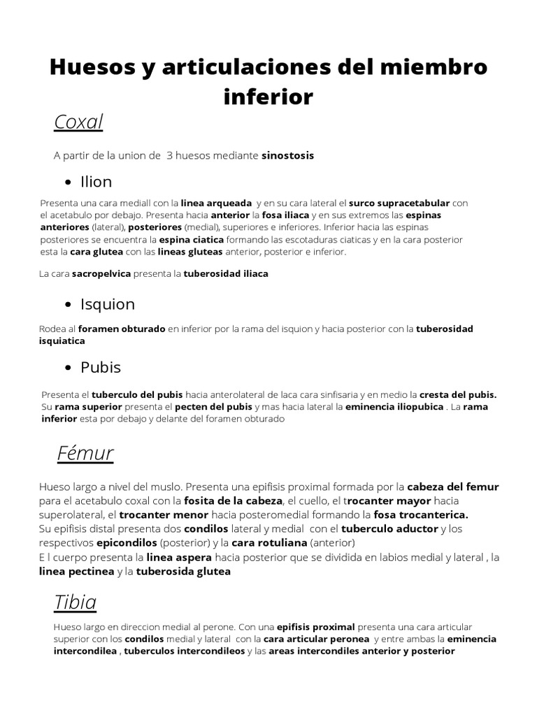 Huesos Y Articulaciones Del Miembro Inferior Pdf Pdf