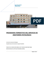 ANATOMIA PATOLOGICA Plan Formativo MIR 2020 - 1 PDF