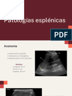 Bazo (Radiologia) PDF