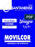 Grupo Arena - CFC Santanense, Erva Charme, Movilcor e Prefeitura - 3x1 Impressão PDF