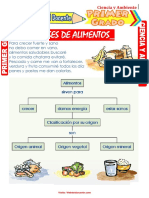 Clases de Alimentos para Primer Grado de Primaria