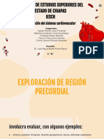 Exploracion de La Region Cardiaca PDF