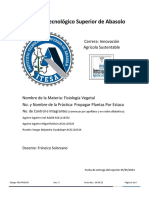 Propagar Plantas Por Estaca PDF