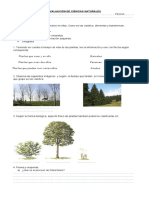 Evaluación 1 Trimestre Ciencias Naturales 2017