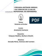 Sistema Articular PDF