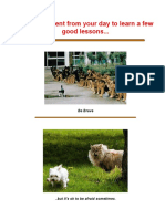 Take A Moment From Your Day To Learn A Few Good Lessons PDF